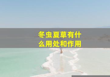 冬虫夏草有什么用处和作用