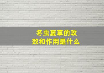 冬虫夏草的攻效和作用是什么