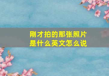 刚才拍的那张照片是什么英文怎么说