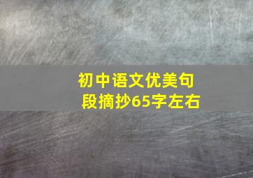 初中语文优美句段摘抄65字左右