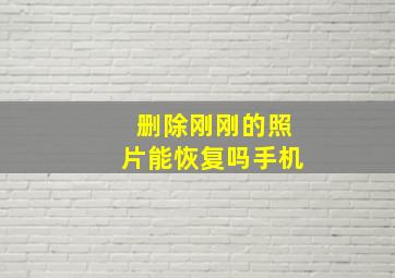 删除刚刚的照片能恢复吗手机