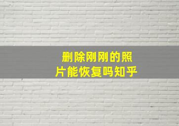 删除刚刚的照片能恢复吗知乎