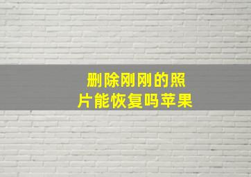 删除刚刚的照片能恢复吗苹果