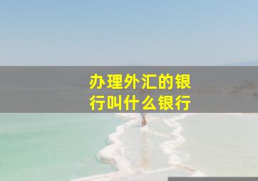 办理外汇的银行叫什么银行