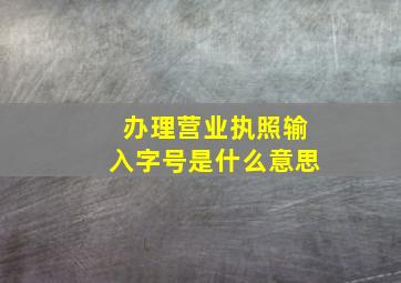 办理营业执照输入字号是什么意思