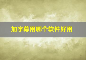 加字幕用哪个软件好用