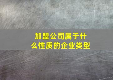 加盟公司属于什么性质的企业类型