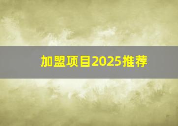 加盟项目2025推荐