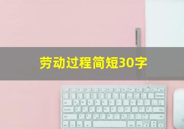 劳动过程简短30字