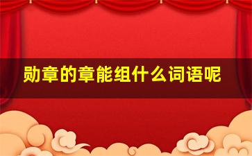 勋章的章能组什么词语呢