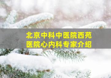 北京中科中医院西苑医院心内科专家介绍