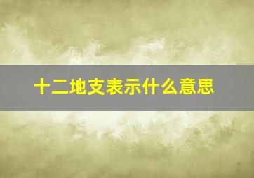 十二地支表示什么意思