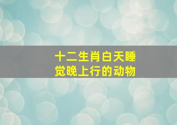 十二生肖白天睡觉晚上行的动物