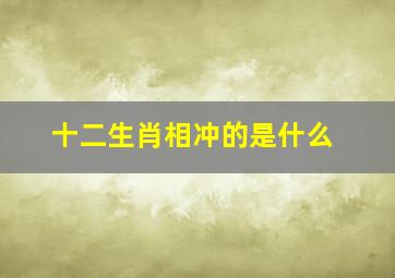 十二生肖相冲的是什么