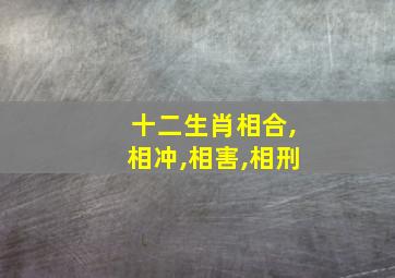 十二生肖相合,相冲,相害,相刑