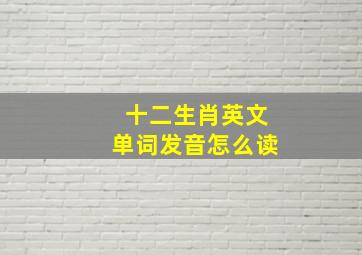 十二生肖英文单词发音怎么读