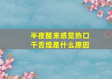 半夜醒来感觉热口干舌燥是什么原因