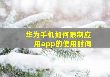 华为手机如何限制应用app的使用时间