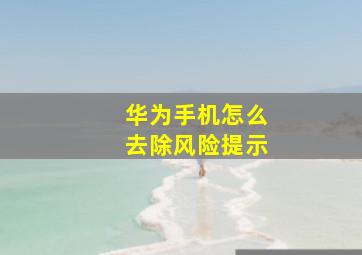 华为手机怎么去除风险提示