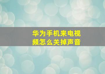 华为手机来电视频怎么关掉声音