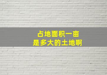 占地面积一亩是多大的土地啊