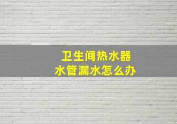 卫生间热水器水管漏水怎么办