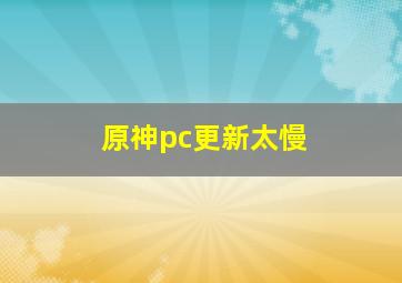 原神pc更新太慢