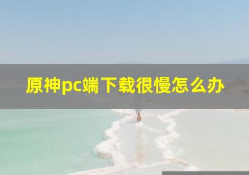 原神pc端下载很慢怎么办