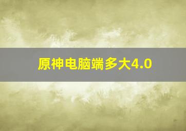 原神电脑端多大4.0