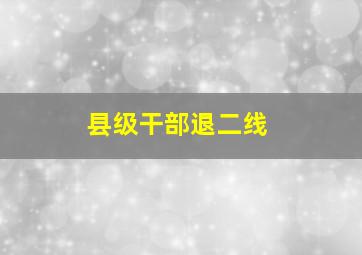 县级干部退二线