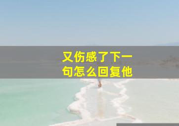 又伤感了下一句怎么回复他