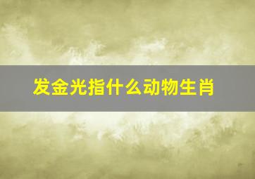 发金光指什么动物生肖