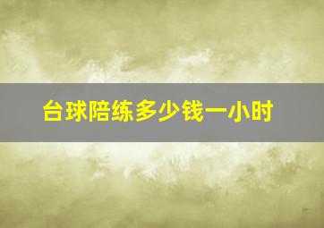 台球陪练多少钱一小时