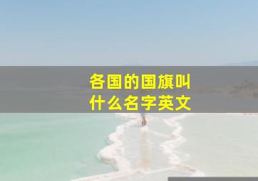 各国的国旗叫什么名字英文