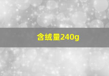 含绒量240g