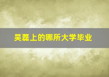 吴磊上的哪所大学毕业