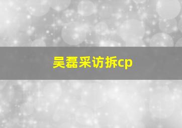 吴磊采访拆cp