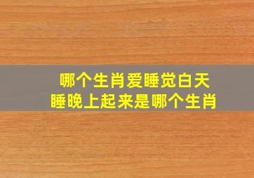 哪个生肖爱睡觉白天睡晚上起来是哪个生肖