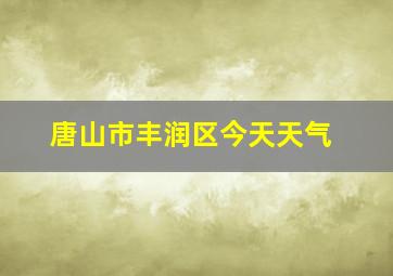 唐山市丰润区今天天气