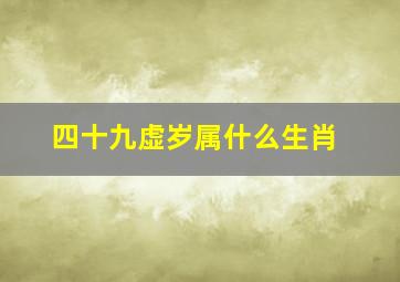 四十九虚岁属什么生肖