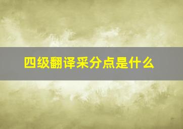 四级翻译采分点是什么