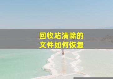 回收站清除的文件如何恢复