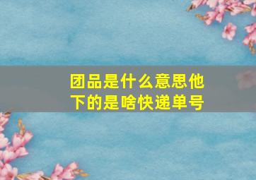 团品是什么意思他下的是啥快递单号