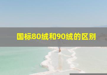 国标80绒和90绒的区别