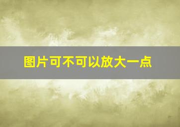 图片可不可以放大一点