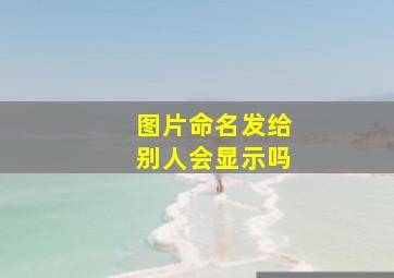 图片命名发给别人会显示吗