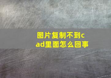 图片复制不到cad里面怎么回事