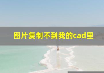 图片复制不到我的cad里