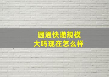 圆通快递规模大吗现在怎么样