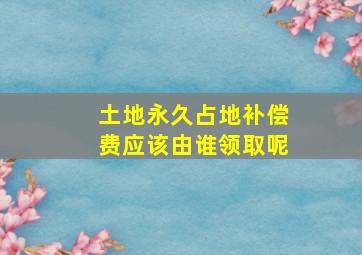 土地永久占地补偿费应该由谁领取呢